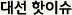 대선 핫이슈