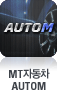 MT�ڵ��� AUTOM