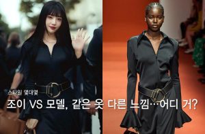 레드벨벳 조이 vs 모델, 과감한 앞트임 드레스…같은 옷 다른 느낌