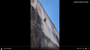 [영상] "너무 무서워"… 브라질 떨게 한 흉기난동범 정체는?