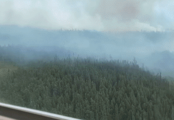캐나다 동부에서 거대한 화마가 산을 집어 삼켰다. 영상은 캐나다 공영방송인 CBC News가 보도한 캐나다 현지 산불이 일어난 모습 일부. /영상=CBC News 유튜브 캡처