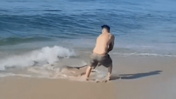 미국 뉴욕주 롱아일랜드섬에서 한 남성이 상어의 꼬리를 붙잡고 바다에서 끌어내는 장난을 쳐 논란이 일었다. 영상은 트위터에 게시된 상황 일부. /영상=트위터 캡처