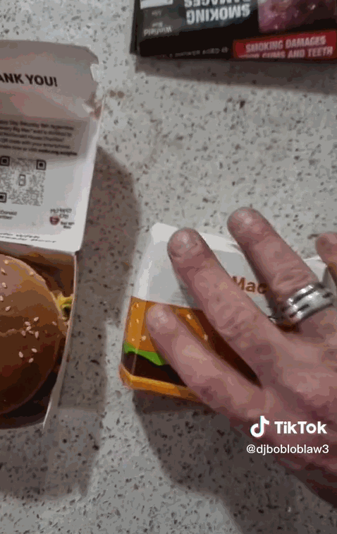 호주의 한 남성이 3개월 동안 상하지 않은 맥도날드 햄버거 영상을 공개해 화제다. 영상은 3개월 된 맥도날드 빅맥(오른쪽)과 새로 산 빅맥 모습. /영상=틱톡 캡처