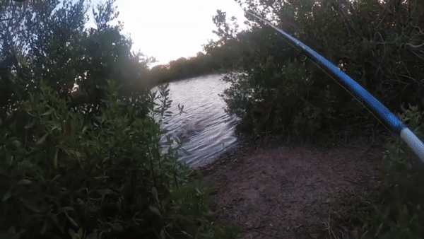 미국 플로리다주에서 낚시를 즐기던 한 남성과 악어가 벌이는 아찔한 추격전 영상이 화제다. /사진='바이럴호그'(ViralHog) 유튜브 영상 캡처 