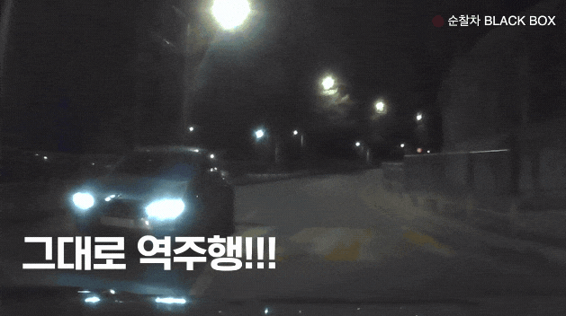 음주 단속을 피하려고 후진 역주행으로 도주하는 운전자 /사진=서울경찰 소셜미디어
