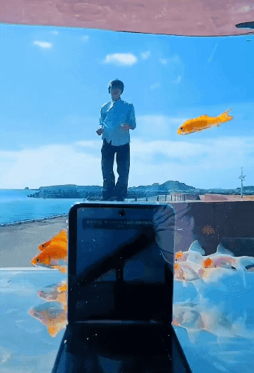 일본인 영상작가가 어항에 삼성전자 스마트폰 갤럭시 Z플립4를 넣어 금붕어가 하늘을 나는 듯한 환상적인 장면을 연출했다. /사진=온라인 커뮤니티