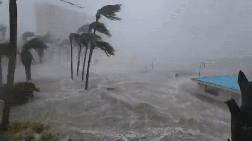 28일(현지시간) 허리케인 이언 상륙으로 미국 플로리다주에 대규모 홍수가 발생했다. /영상=트위터