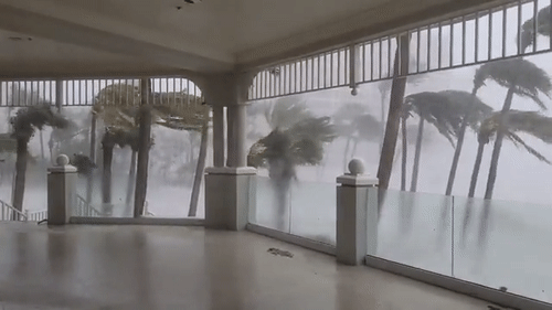 28일(현지시간) 미국 플로리다주에 상륙한 허리케인 이언이 동반한 강풍에 도로 위 나무가 심하게 흔들리고 있다. /영상=트위터