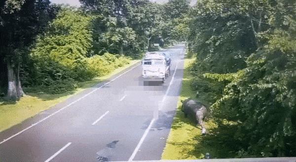 인도 아삼주 카지랑가 국립공원 내 도로에서 발생한 코뿔소가 차를 들이받은 사고 /영상=히만타 비스와 사르마 아삼주(州) 주지사 트위터