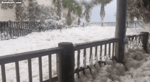 플로리다 해안 인근 거리가 하얀 거품으로 뒤덮여 있다. /틱톡 