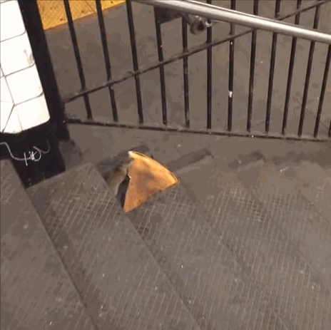 2015년 미국 뉴욕 한 지하철 계단에서 쥐가 피자를 물고 가고 있다./사진=유튜브 'Matt Little'