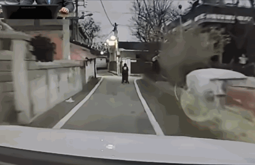  지난해 11월29일 오후 5시쯤 전북 완주군 한 골목길에서 운전자가 느리게 걸어가는 노인을 향해 경적을 울렸다. 이 소리를 듣고 놀란 노인은 넘어져 중상을 입었다./사진=유튜브 '한문철TV'