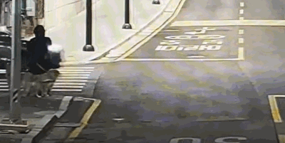 반려견을 산책시키던 시민의 신고로 음주운전 차량이 검거됐다./사진=경찰청 유튜브