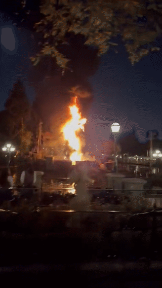 미국 디즈니랜드에 있는 약 14m짜리 용 모형에 화재가 발생했다. /영상=트위터