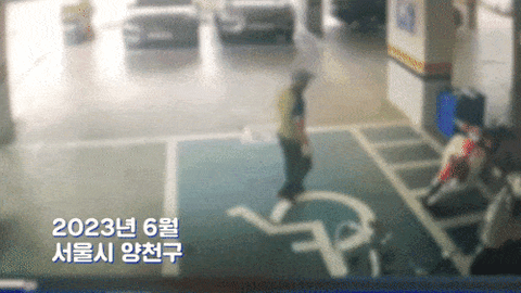 집 앞에 내놓은 이삿짐을 태연히 훔쳐 가는 남성의 모습. /영상=서울경찰청 유튜브