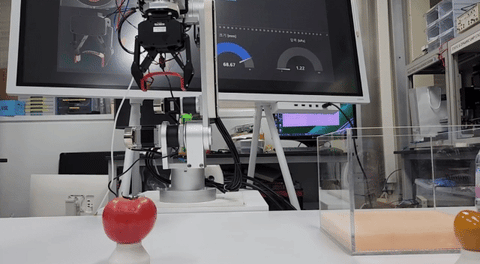 한국전자통신연구원(ETRI) 연구진이 개발한 '지능형 그리퍼 로봇'이 물컹물컹한 토마토를 나르는 모습. / 영상=한국전자통신연구원(ETRI)