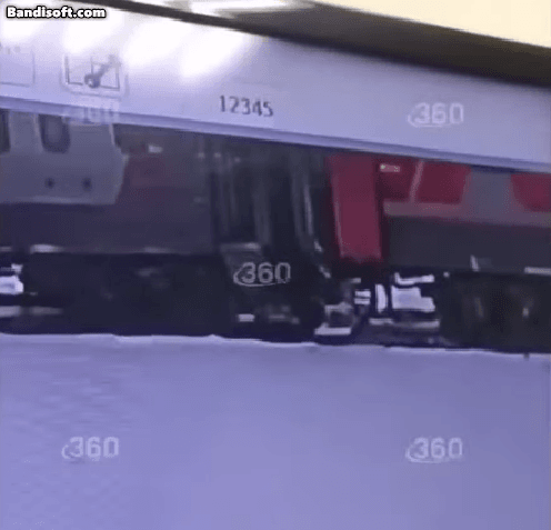 러시아에서 기차 승무원이 고양이 '트윅스'를 밖으로 쫓아내는 모습./영상=X(옛 트위터)
