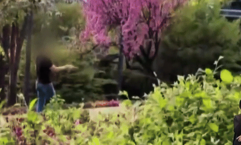 서울 한 공원에서 남성이 낚시 연습을 하고 있다. /사진=JTBC 사건반장 갈무리