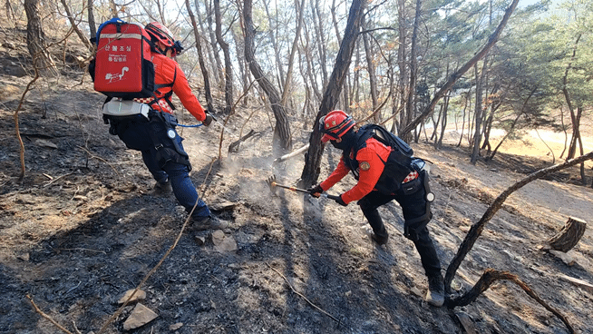 웨어러블 장비를 착용한 산불재난특수진화대원들은 장비를 착용한 채 땅을 헤집고 물을 뿌려 잔불을 정리했다. 하체와 다리에 장비가 일부 드러난 모습. /사진제공=산림청.