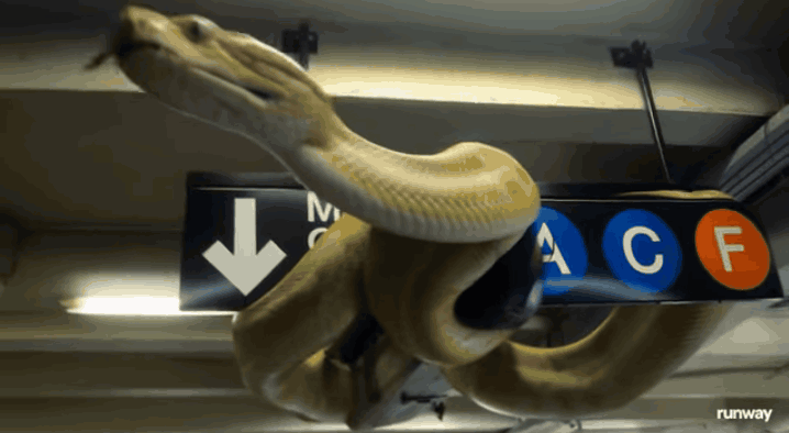 /사진=런웨이 '젠-4' 생성 영상 유튜브