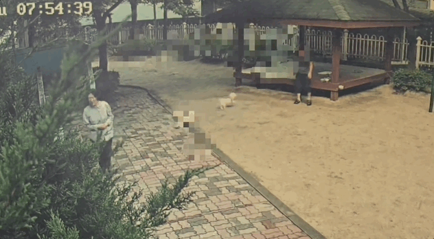 목줄을 하지 않은 반려견 두 마리가 길을 지나던 여성 다리를 물어 쓰러지는 모습 /사진=온라인 커뮤니티