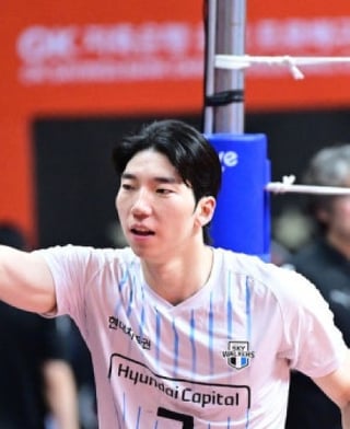 허수봉