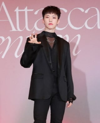 세븐틴 호시