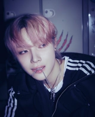 앤팀 니콜라스