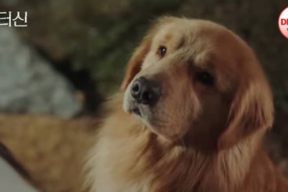 Jung Yi Chan (Doctor Shin) trở thành Retriever sau khi qua đờiKết thúc Kwon Seon-jyak → Vượt qua tỷ lệ người xem cao nhất [sự tổng hợp]