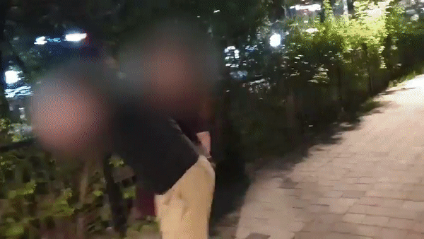 지난 7월 30일 서울 성동구 한 아파트 단지 주변 산책로에서 발생한 20대 여성의 주취폭력 상황. 40대 가장은 의도하지 않은 신체접촉으로 성추행범으로 몰릴 것을 우려해 적극 대응을 하지 못하고 맞기만 했다. /사진=독자 제공  