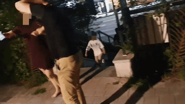 지난 7월 30일 서울 성동구 한 아파트 단지 주변 산책로에서 발생한 20대 여성의 주취폭력 상황. 40대 가장은 의도하지 않은 신체접촉으로 성추행범으로 몰릴 것을 우려해 적극 대응을 하지 못하고 맞기만 했다. /사진=독자 제공  