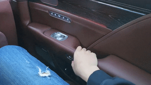 제네시스 G90의 이지 클로즈. 버튼 조작만으로 문을 닫을 수 있다./사진=이강준 기자