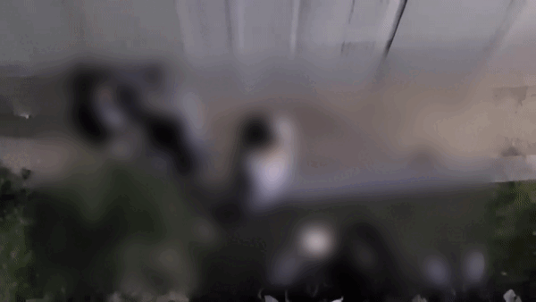 피해 학생 뺨을 때리는 모습 /사진=온라인 커뮤니티