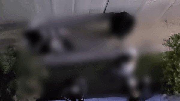 피해학생에게 벽을 짚게 한 뒤 발로 엉덩이 부근을 차고 있다. /사진=온라인 커뮤니티