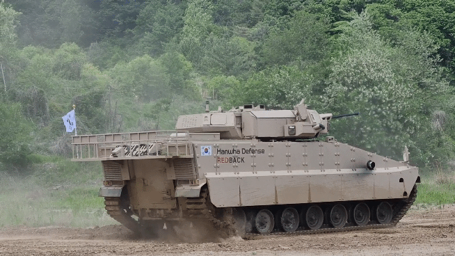 360도 제자리선회하는 레드백/사진=최민경 기자