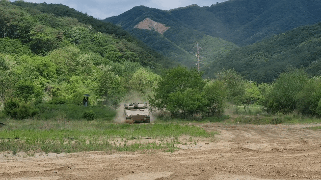 물웅덩이를 지나는 레드백/사진=최민경 기자