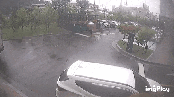 /영상=온라인 커뮤니티