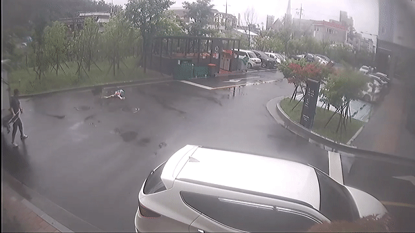 사진=온라인 커뮤니티