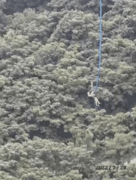 /영상=중국 동영상 플랫폼 빌리빌리