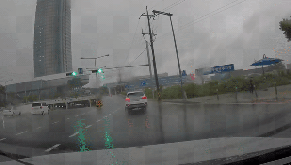 /사진=온라인 커뮤니티 