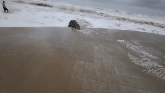 6일 오전 부산 해운대에서 한 외국인 남성이 바다를 향해 가고 있다./영상=온라인 커뮤니티