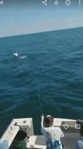 /영상=페이스북 