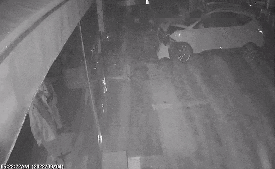 지난 4일 오전 5시22분쯤 A씨가 운전하던 차량에서 내려 사고 현장을 살펴보는 모습. /영상=독자 제공