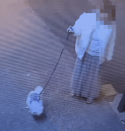 자신의 반려견이 타인의 가게 앞에 변을 봤음에도 이를 방치한 뒤 치우지 않고 그냥 떠난 여성이 누리꾼 뭇매를 맞고 있다. /사진=보배드림 인스타그램 