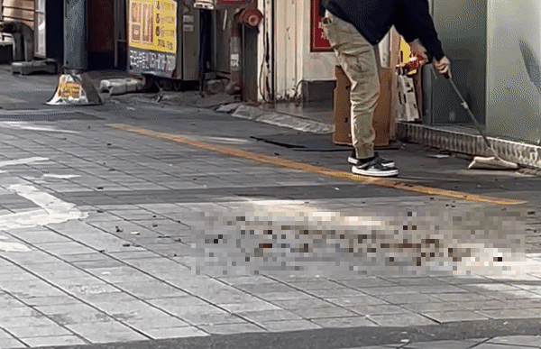 지난 10월 31일 부선 서면 한복판에 등장한 바퀴벌레 떼 / 영상=온라인 커뮤니티