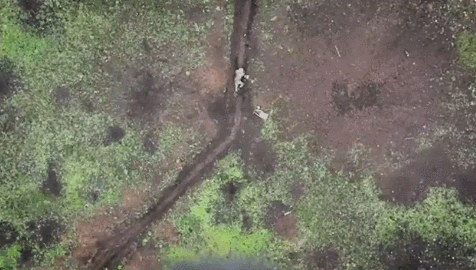 우크라이나의 공격용 드론이 투하한 수류탄이 러시아 병사와 3m 정도 떨어진 지점에 떨어졌다 /비세그라드24 트위터 