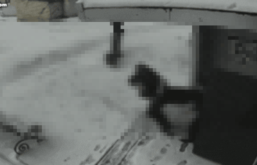 지난 18일 러시아 탐보프주에서 20대 남성이 가족과 함께 평소 좋아하던 10대 소녀를 납치했다./사진=텔레그램