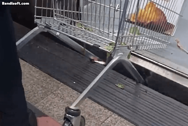 /영상=인스타그램 