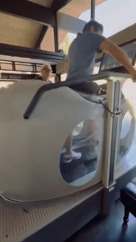 할리우드 배우 제레미 레너가 골절 사고 후 두 달 만에 다시 걷는 모습을 공개했다. /영상=제레미 레너 트위터