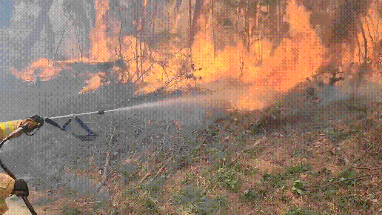 지난 11일 강원 강릉에서 발생한 산불을 진압하는 소방관들 /영상=강원도소방본부 제공